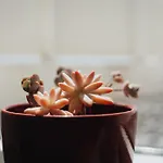 Sea & Rocks 15 - House 度假居 *