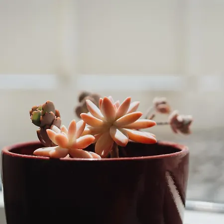 Sea & Rocks 15 - House Prázdninový dům *